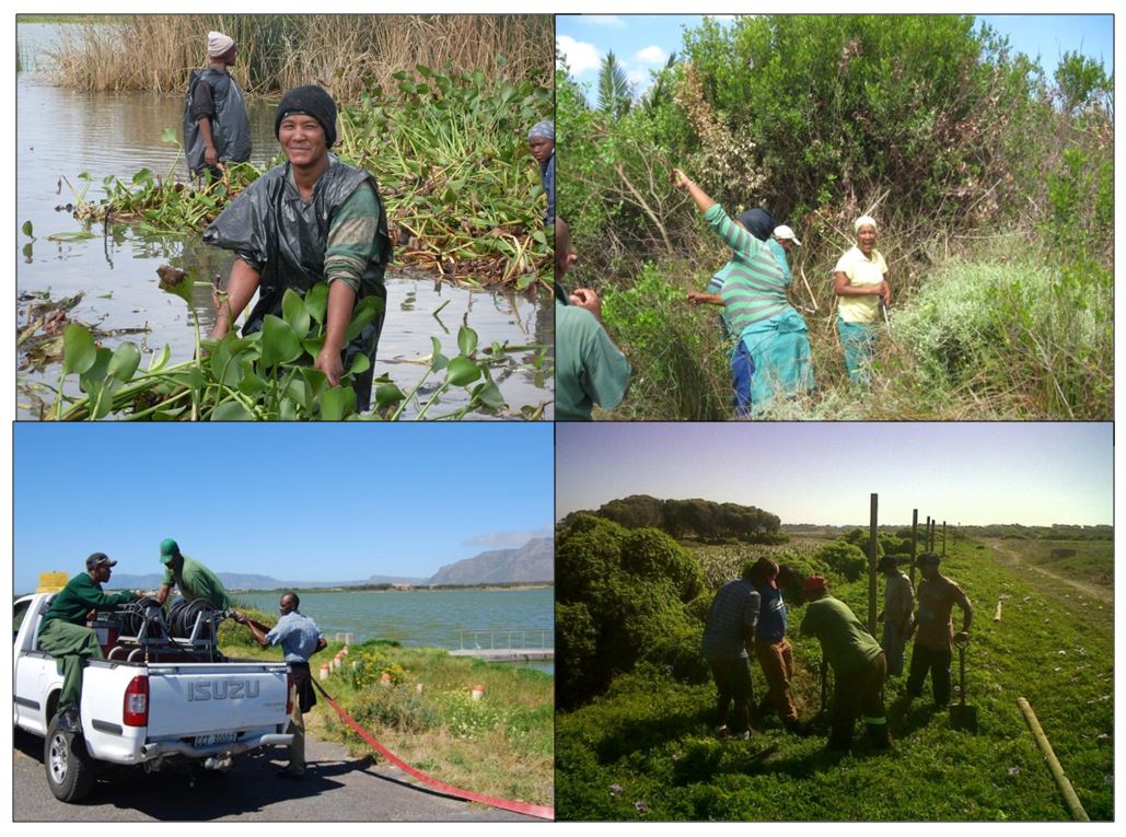 Management Activities in the False Bay Nature Reserve